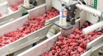 Congelación, método de preservación en la industria alimentaria